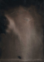 http://www.actionaqua.com/files/gimgs/th-121_Scan 5invert_v2.jpg